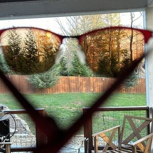 Claro sunglasses (non-prescription)